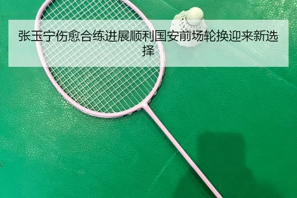 张玉宁伤愈合练进展顺利国安前场轮换迎来新选择